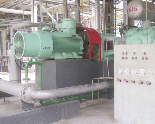 中石化岳陽興長石化股份公司DW-6/22型異丁烯壓縮機(jī)