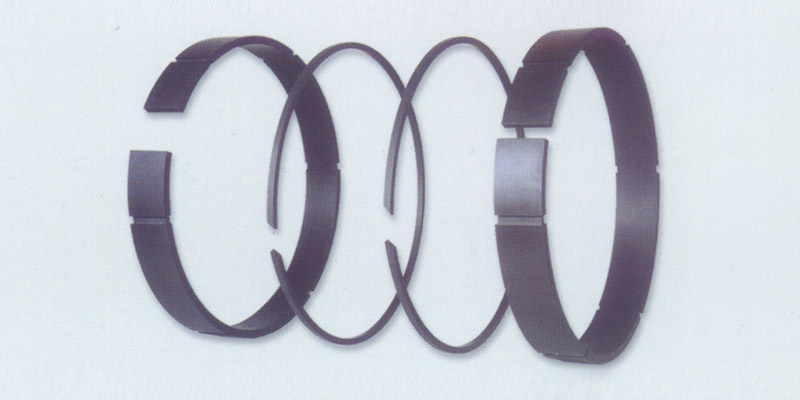 活塞環(huán)、支承環(huán)